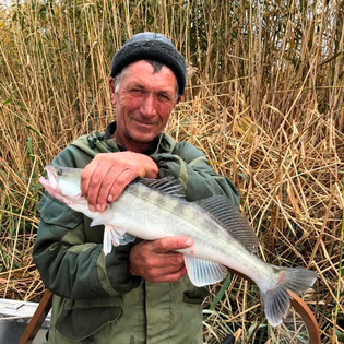 Васильев Иван